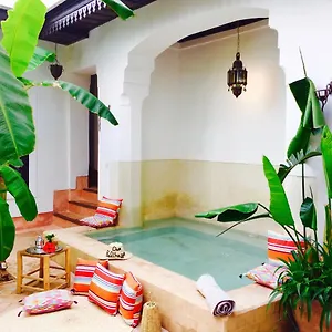 Dar Balthazar Hotel typu riad